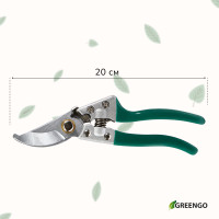  , 8 (20 ),  , Greengo