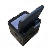   Indel B Tb45a    