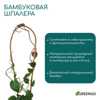    , H=60 , , Greengo