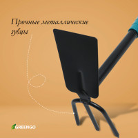    Greengo, 2 : , ,  31 ,  