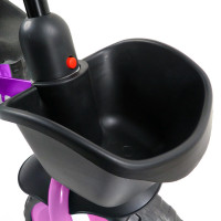  Maxiscoo Dolphin,  