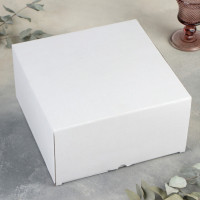     Wilmax Olivia, 24x11,5 ,  