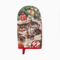 -  " " 1528,, 100% ,  250/2