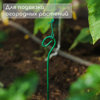   , H=100 , D=3  , , , Greengo