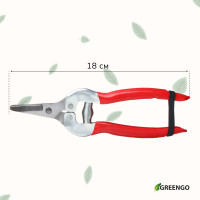  , 7 (18 ),   ,  , , Greengo