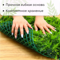  , 60 40 ,  , Greengo