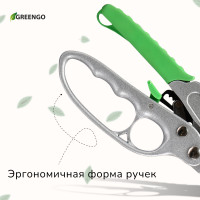  , 7 (18 ),   ,  , Greengo