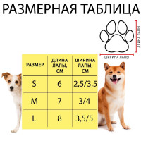    , L (3.5/5 9 ),  4 .