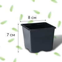 ������ ��� �������, 320 ��, 8 8 7 ��, ������, Greengo