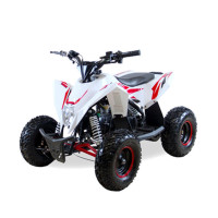 ������� ���������� ���������� Motax Gekkon 90cc 1+1 (������), ����-�������