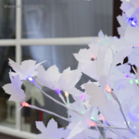     1.8 , 350 Led, , 220 ,   (rgb)