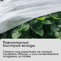  , 10 1.6 ,  30 / ,   -, , Greengo,  30%