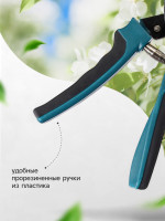  , 9 (23 ),   , Greengo