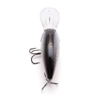  Namazu Hippocampus L-60 , 18 , , , 2.5 - 4.5 ,  5