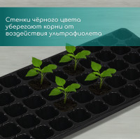   , 50   75 , , , 56 29.5 4 , Greengo