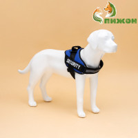  9  ,  Xl,  80-95 ,  30-45 , 