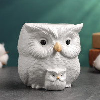 �������� ����� ��� ������ ����� � �������, 12 14 10 ��, ����, �����