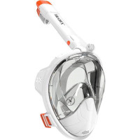     Bradex,   ,  S
