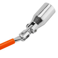 ���� ������� ���������, 21 ��, � �������� Sparta