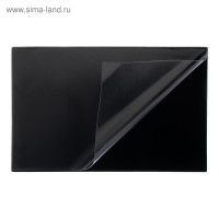   Calligrata, 38   59 , ,   