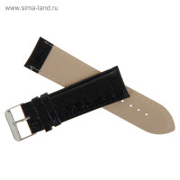    , 24 , , L-20 , 