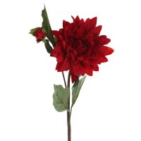 ������ ������������� �������, H62 C�