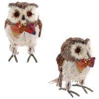 ������� ������������ ����, L25 W17 H23��