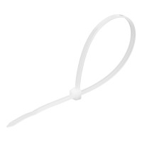 , 250 X 4.8 , , , 100  