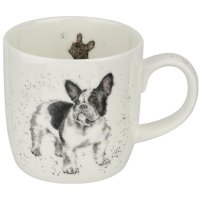  Royal Worcester   310