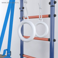    Polini Sport Neo, ,  