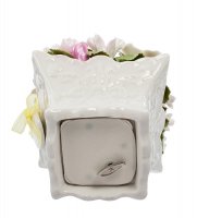 Cms-33/36    (pavone)