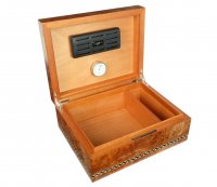  Gentili Elm-matt  50 