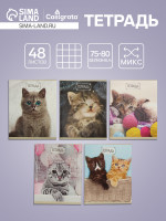  48    Calligrata  ,  , 