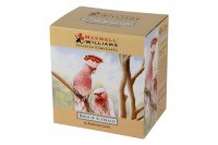   2  Maxwell & Williams   300 ,  ,      2 