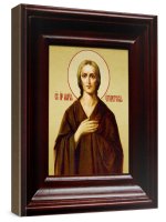 ����� ����� ���������� (21�24), ������� ����