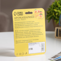 ����� ���������� ������������ "�����", 5 ��, ��������� �������