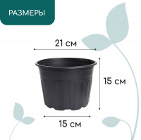   , 4 , D=21 , H=15 ,  , , Greengo