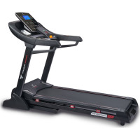    Titanium Masters Physiotech Tlf