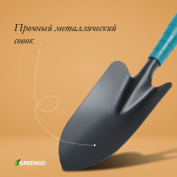   Greengo,  31 ,  8.5 ,  