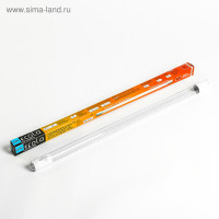   Ecola, T8, G13, 12.5 , 6500 K, 605x28 , . , 