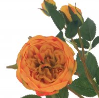 ������ ������������� ����, L19 W14 H65 ��, 4�.