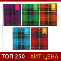  48   , Calligrata ,  , 