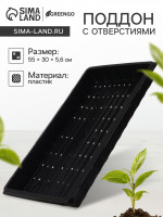   ,  , 55 30 5.6 , , Greengo