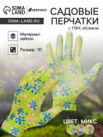  , ,   ,  10,  , Greengo