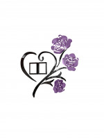 �������� ����������� � ����������� Take It Easy ������, ����� ���������, ����� 50 50 ��, ����� 11 8 ��