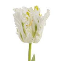    (real Touch), L8 W8 H69 