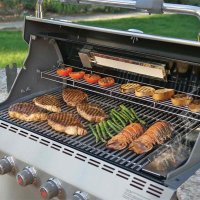    Weber Summit S-660 Built-in  