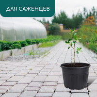   , 4 , D=21 , H=15 ,  , , Greengo