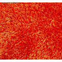     Bob, , 60x90 