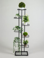    Greengo, 8 , 43 22 141 , , , 